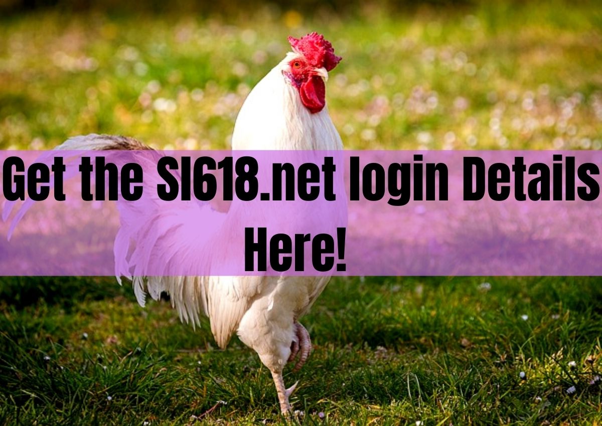 SL618 Login and SL618 Issues You Have to Know About in 2022