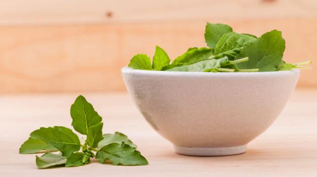 WHY USING TULSI SUPPLEMENTS IS BENEFICIAL?