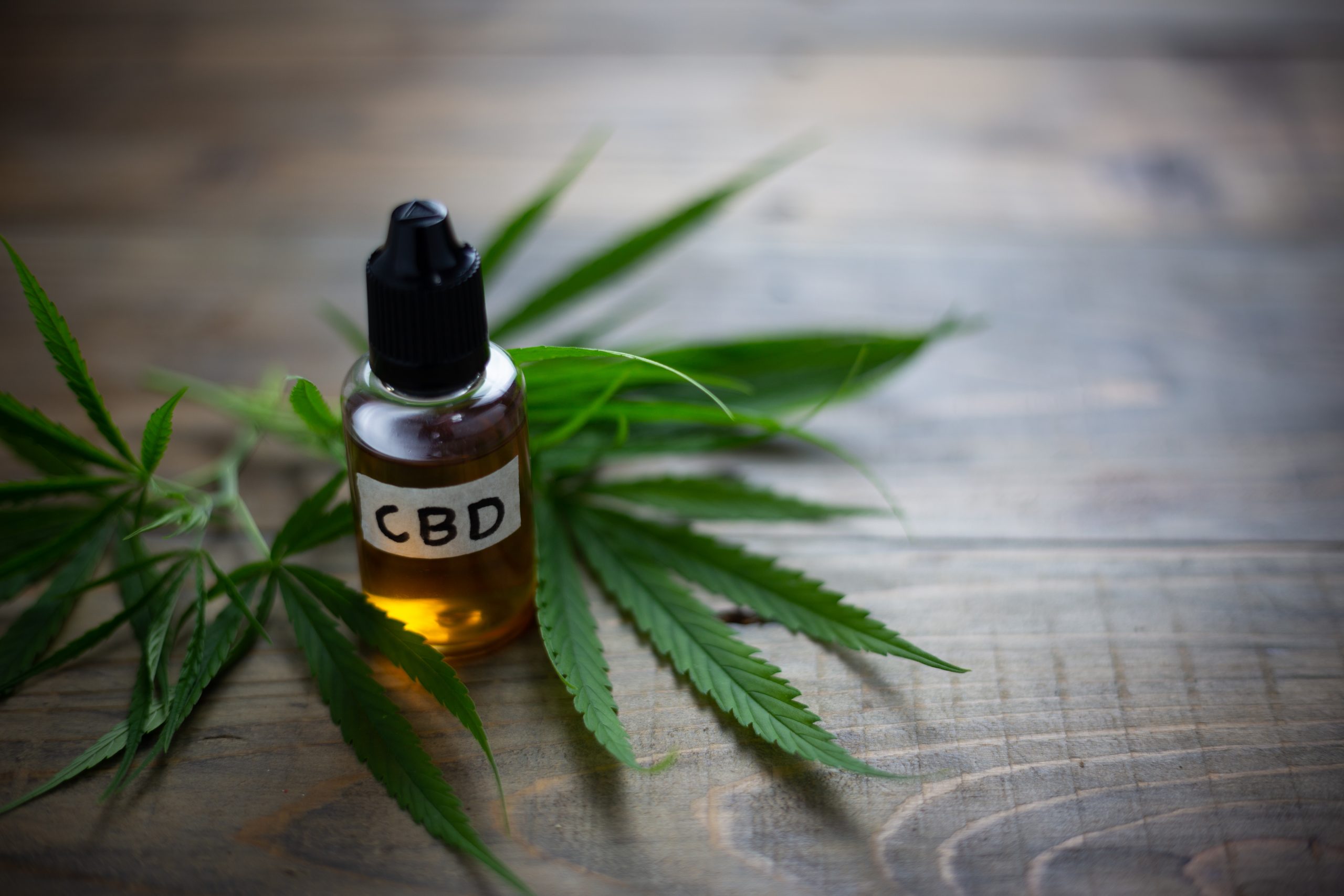 What are CBD Softgels & Are They Worth Buying?