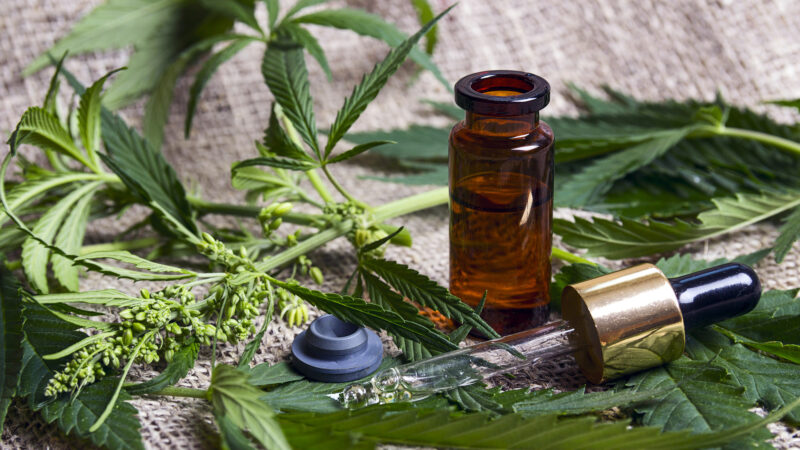 Buying CBD and THC Oil in a legal way